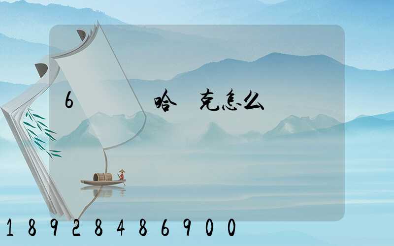 6噸貨發哈薩克怎么發