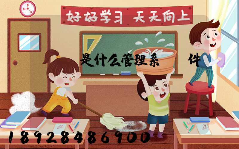 TMS是什么管理系統軟件