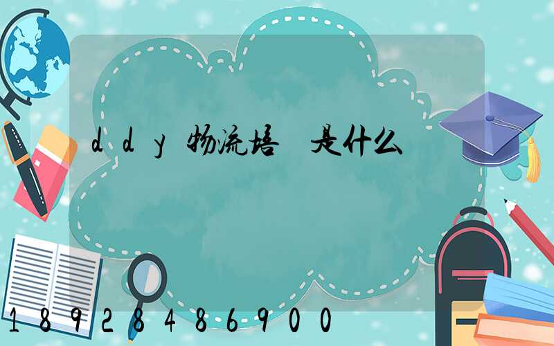 ddy物流培訓是什么