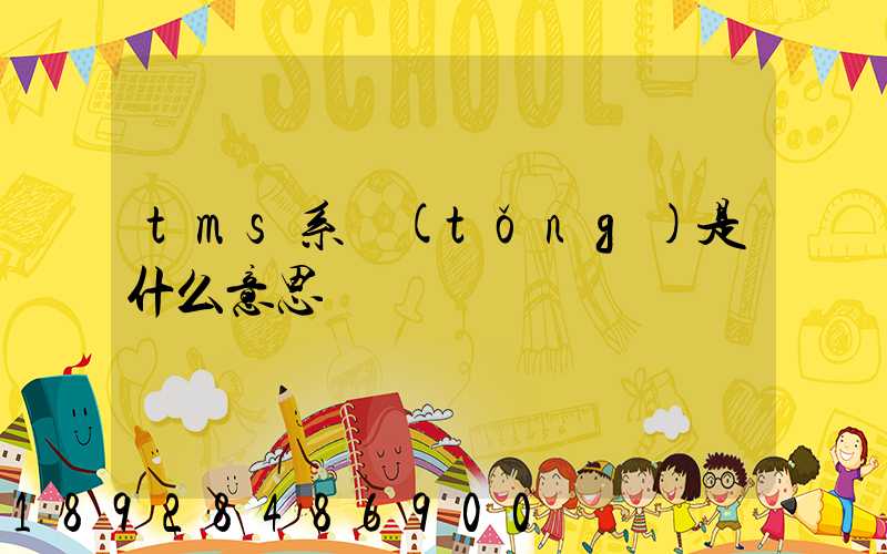tms系統(tǒng)是什么意思