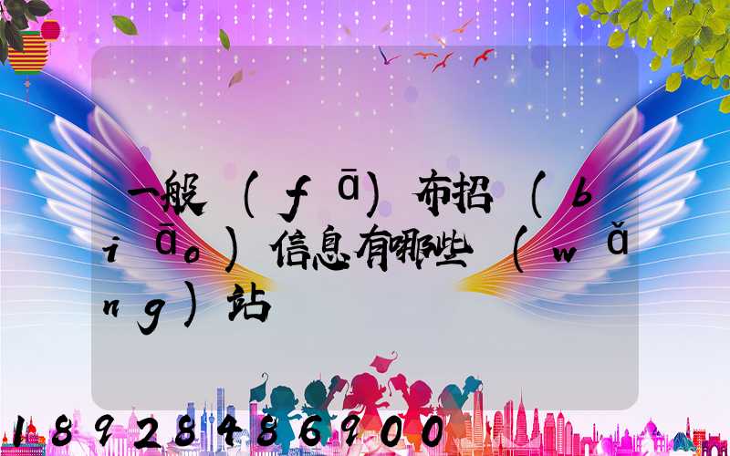 一般發(fā)布招標(biāo)信息有哪些網(wǎng)站