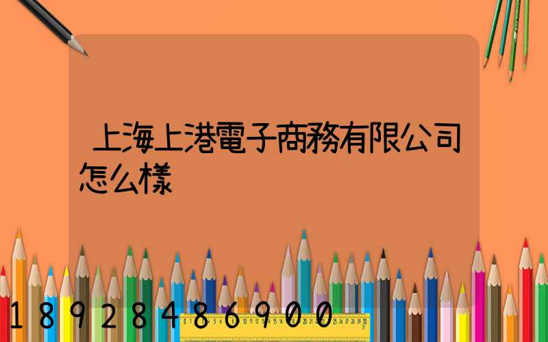 上海上港電子商務有限公司怎么樣