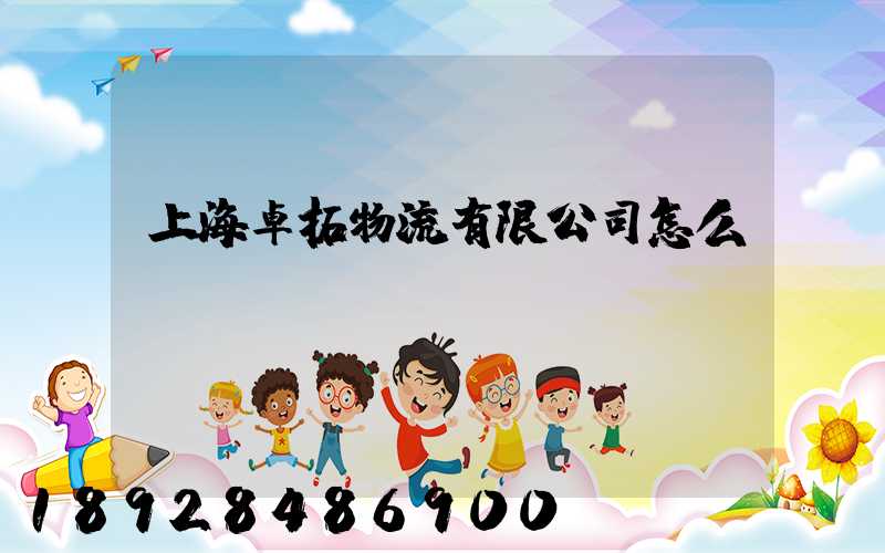 上海卓拓物流有限公司怎么樣