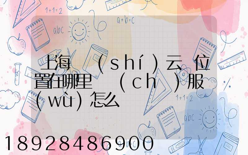 上海寶時(shí)云倉位置在哪里倉儲(chǔ)服務(wù)怎么樣