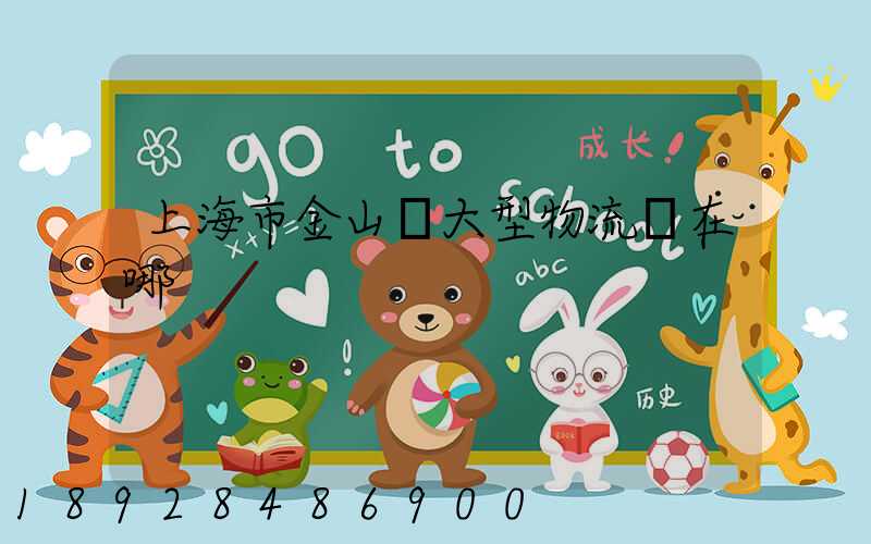 上海市金山區大型物流園在哪