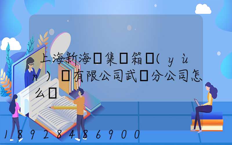上海新海豐集裝箱運(yùn)輸有限公司武漢分公司怎么樣