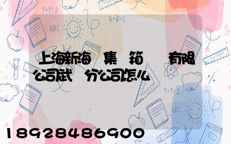 上海新海豐集裝箱運輸有限公司武漢分公司怎么樣