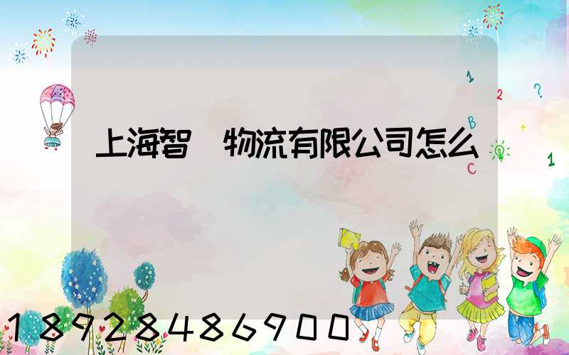 上海智寶物流有限公司怎么樣