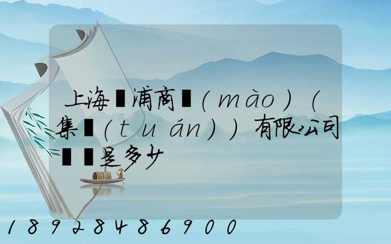 上海楊浦商貿(mào)(集團(tuán))有限公司電話是多少