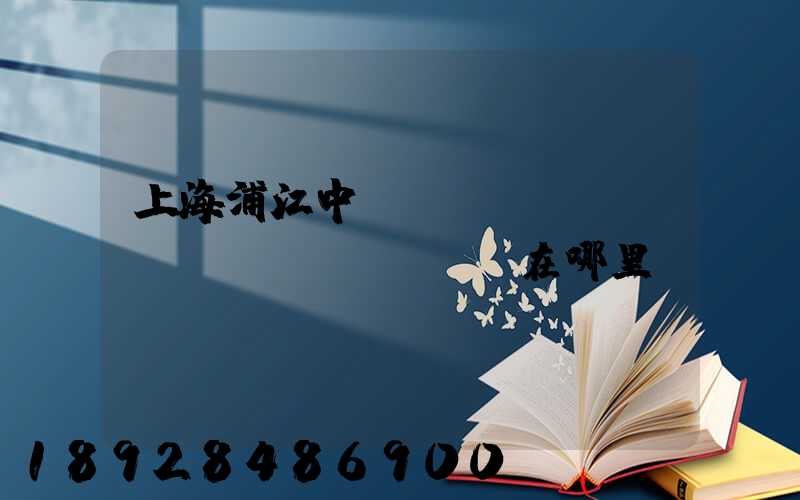 上海浦江中轉(zhuǎn)場(chǎng)在哪里