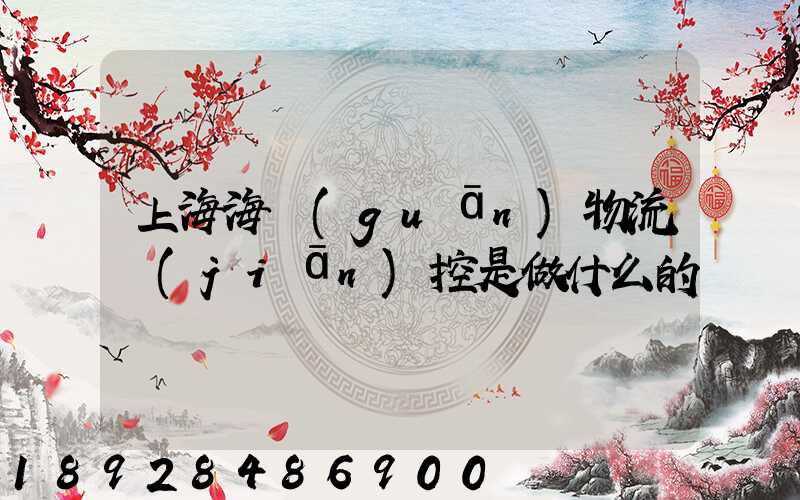 上海海關(guān)物流監(jiān)控是做什么的