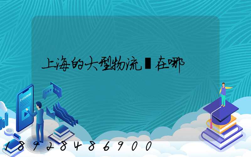 上海的大型物流園在哪
