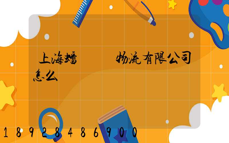 上海蟠龍國際物流有限公司怎么樣