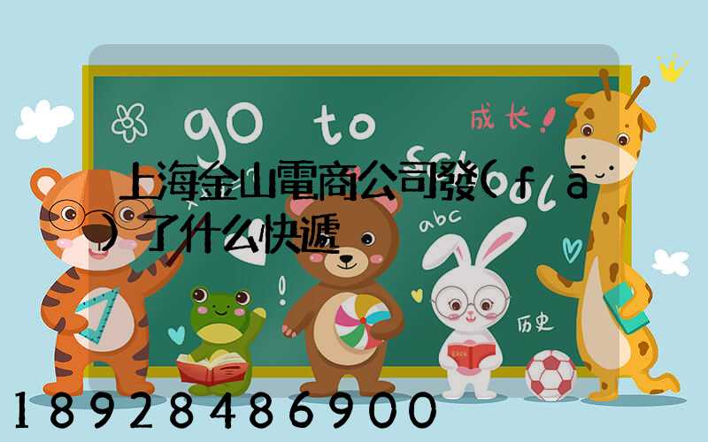 上海金山電商公司發(fā)了什么快遞