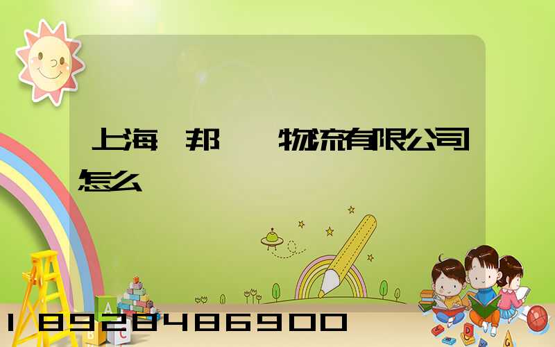 上海鴻邦國際物流有限公司怎么樣