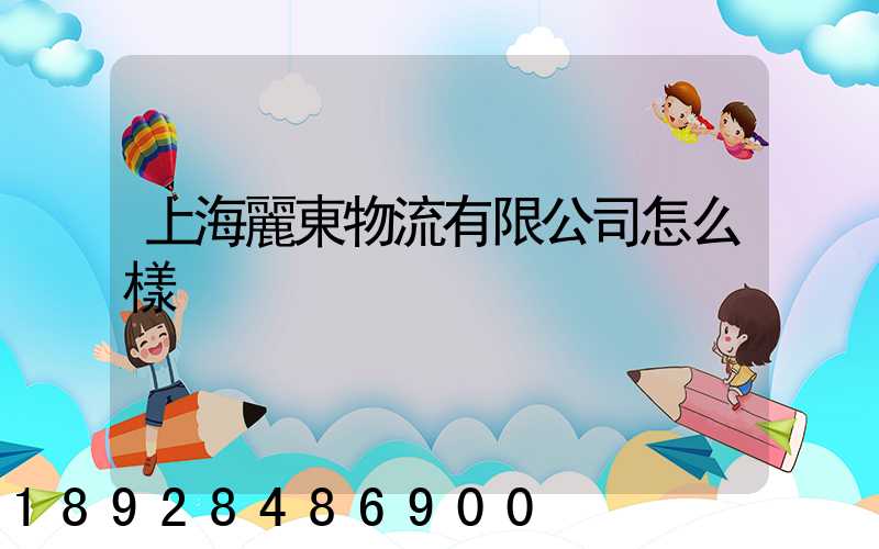 上海麗東物流有限公司怎么樣