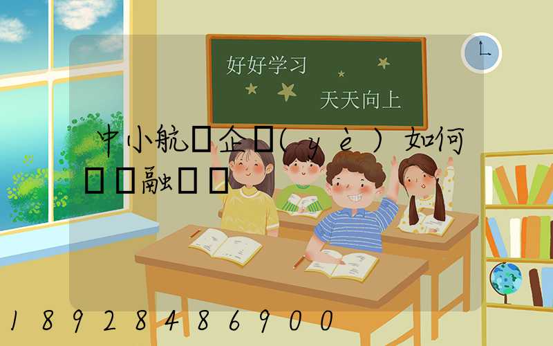 中小航運企業(yè)如何應對融資難