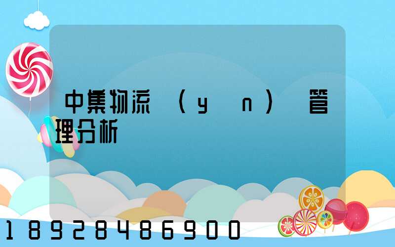 中集物流運(yùn)輸管理分析