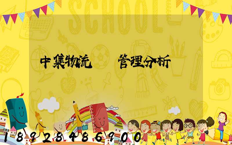 中集物流運輸管理分析