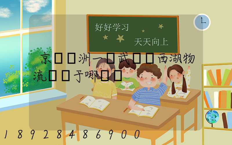 京東亞洲一號武漢東西湖物流園屬于哪個區