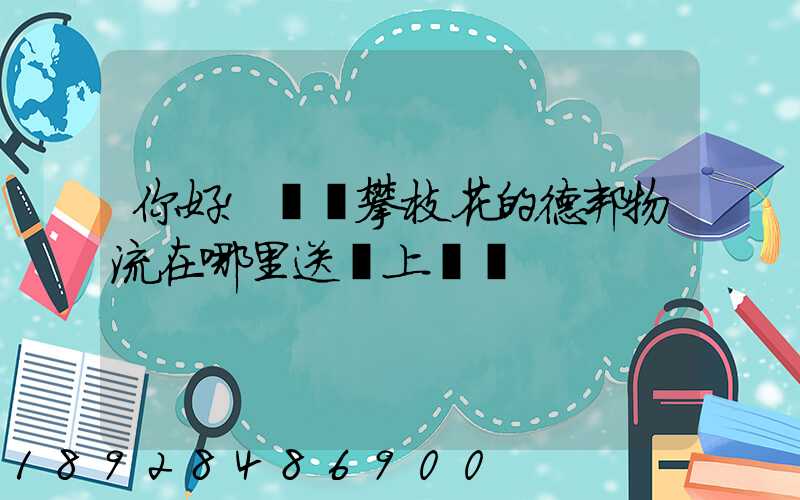 你好!請問攀枝花的德邦物流在哪里送貨上門嗎