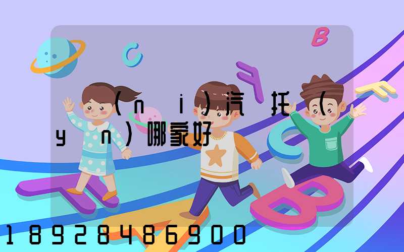 國內(nèi)汽車托運(yùn)哪家好