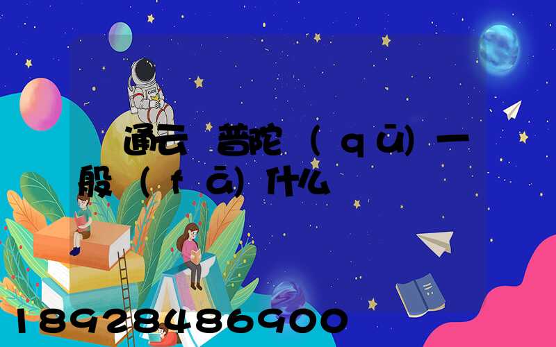 圓通云倉普陀區(qū)一般發(fā)什么