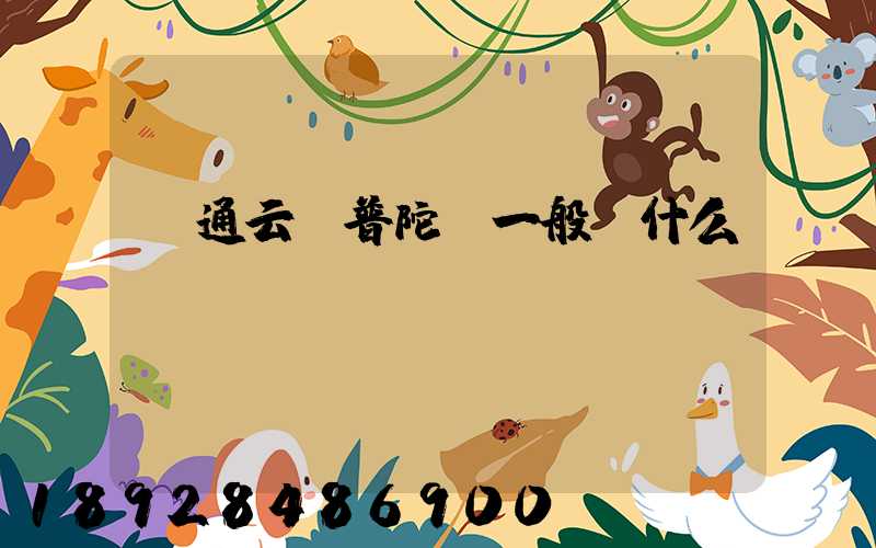 圓通云倉普陀區一般發什么