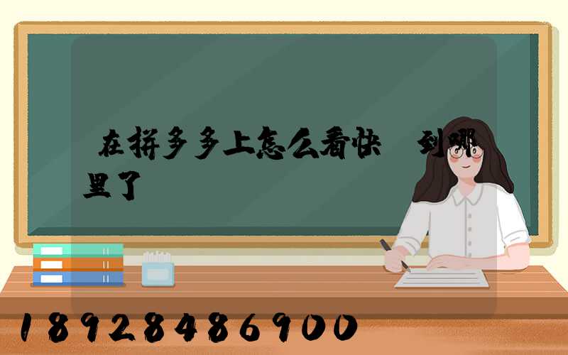 在拼多多上怎么看快遞到哪里了