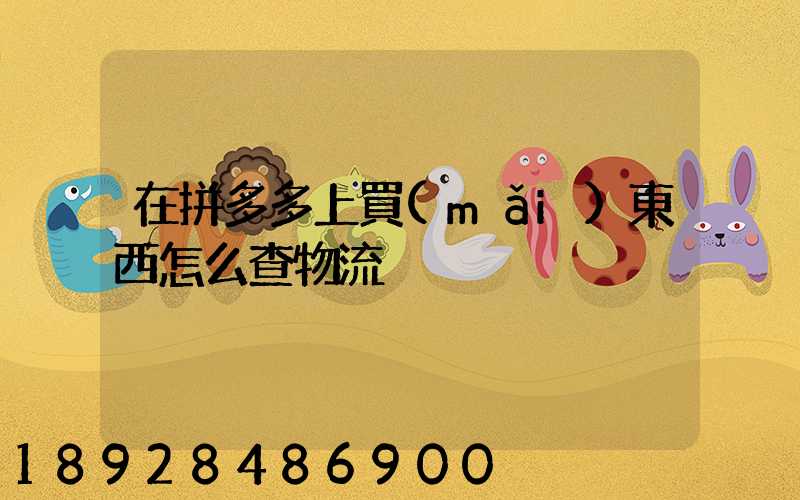 在拼多多上買(mǎi)東西怎么查物流