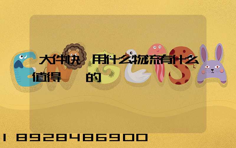 大件快遞用什么物流有什么值得選擇的嗎