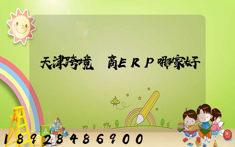 天津跨境電商ERP哪家好