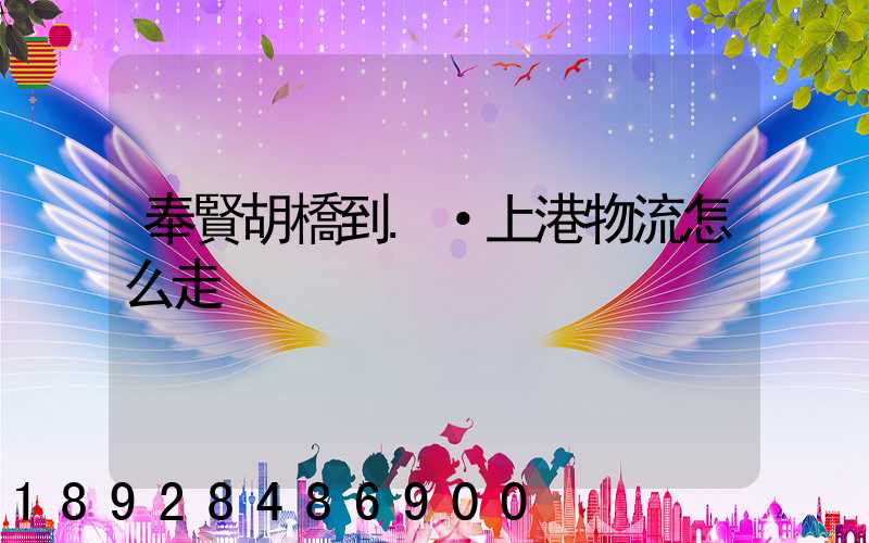 奉賢胡橋到.·上港物流怎么走