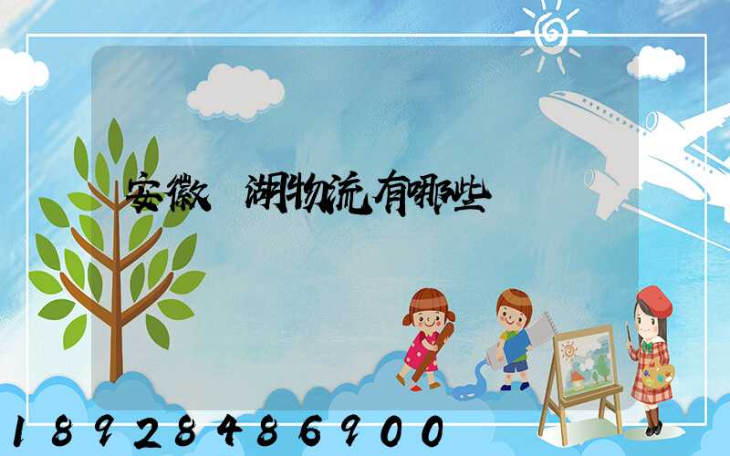 安徽蕪湖物流有哪些