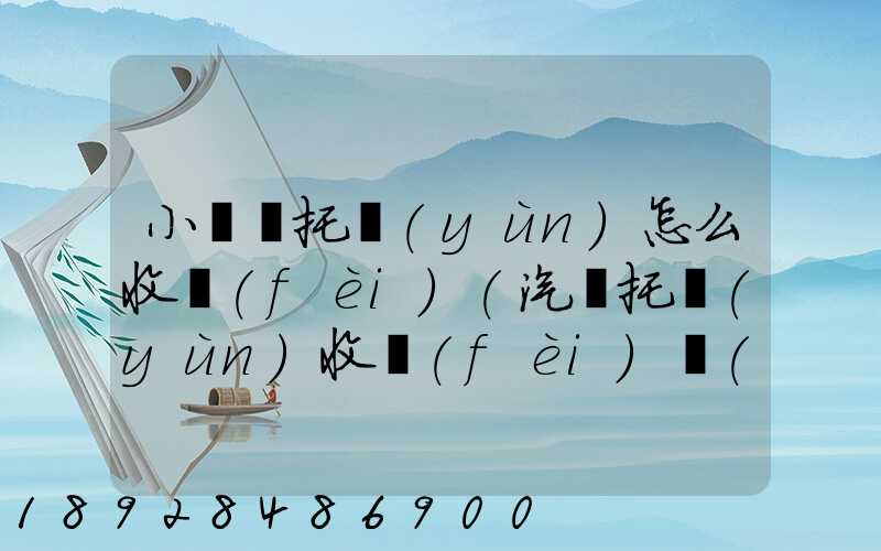 小轎車托運(yùn)怎么收費(fèi)(汽車托運(yùn)收費(fèi)標(biāo)準(zhǔn))