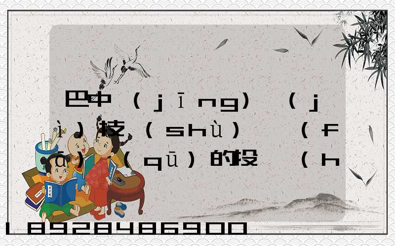 巴中經(jīng)濟(jì)技術(shù)開發(fā)區(qū)的投資環(huán)境