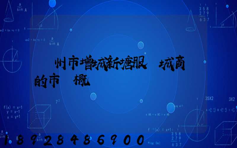 廣州市增城新塘服裝城商場的市場概況