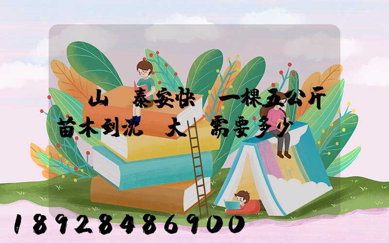 從山東泰安快遞一棵五公斤苗木到沈陽大約需要多少錢