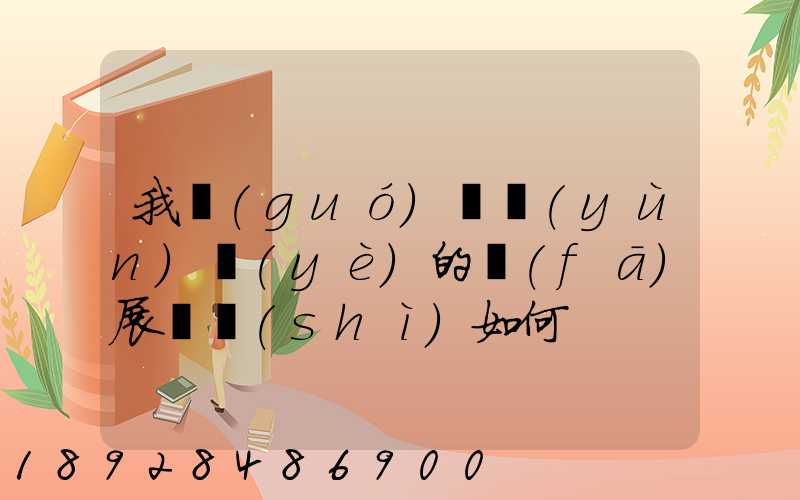 我國(guó)貨運(yùn)業(yè)的發(fā)展趨勢(shì)如何