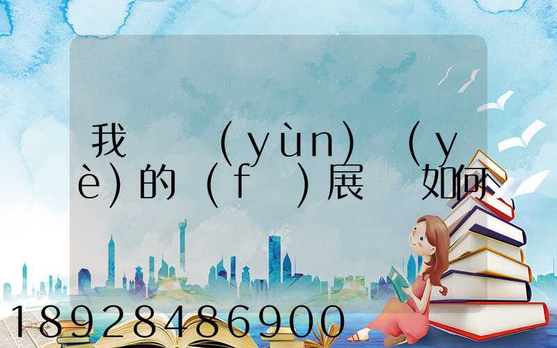 我國貨運(yùn)業(yè)的發(fā)展趨勢如何