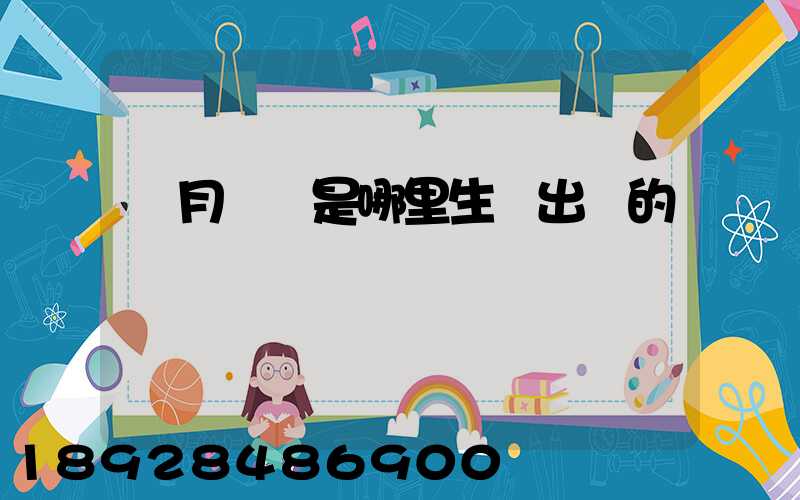 攬月貓糧是哪里生產出來的