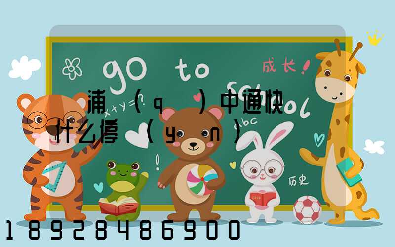 楊浦區(qū)中通快遞為什么停運(yùn)