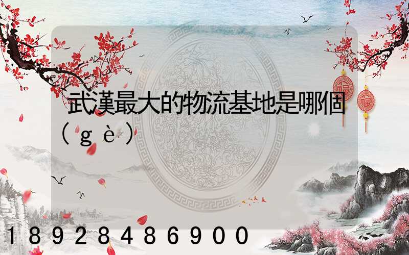武漢最大的物流基地是哪個(gè)