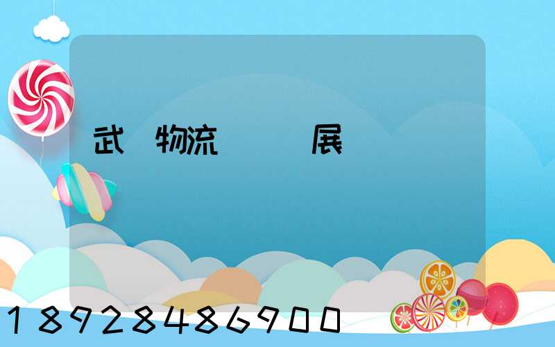 武漢物流運輸發展