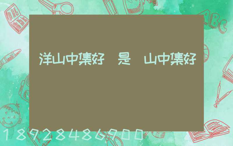 洋山中集好還是寶山中集好