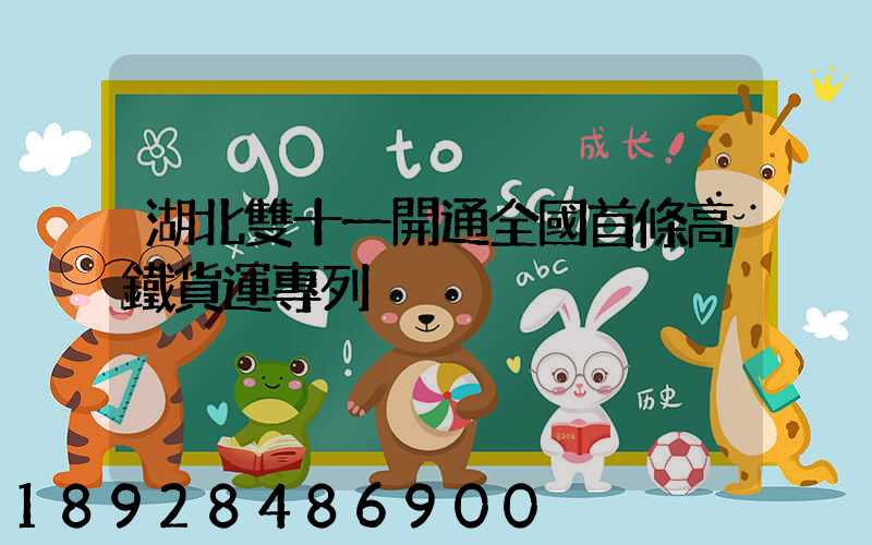 湖北雙十一開通全國首條高鐵貨運專列