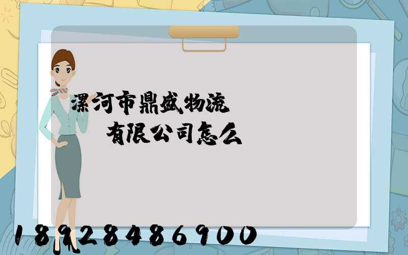 漯河市鼎盛物流運(yùn)輸有限公司怎么樣