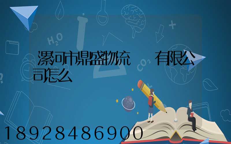 漯河市鼎盛物流運輸有限公司怎么樣