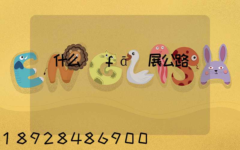 為什么發(fā)展公路運輸