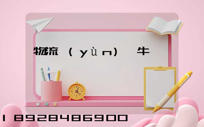 物流運(yùn)輸牛